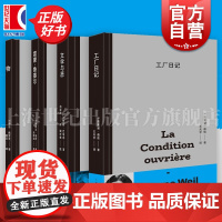 文学与恶/工厂日记/物/雷蒙鲁塞尔 米歇尔福柯西蒙娜薇依乔治佩雷克作品集欧洲文学上海人民出版社