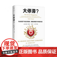 大停滞(科技高原下的经济困境美国的难题与中国的机遇)(精