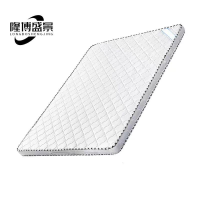 隆博盛景单人床垫 1000*2000*60mm