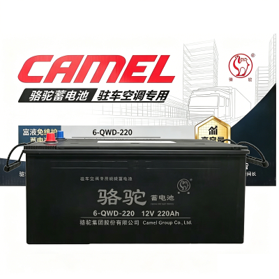 骆驼 蓄电池12V220Ah 6-QWD-220 只