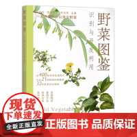 野菜图鉴(识别与开发利用) 刘庭付,缪叶旻子,李汉美 编 中国农业出版社9787109304437