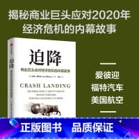 迫降:商业巨头应对经济危机的内幕故事 [正版]迫降 商业巨头应对经济危机的内幕故事 利兹 霍夫曼著 渴望在危机中生存的人