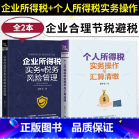 [正版]新版2册 企业所得税实务与税务风险管理+个人所得税实务操作与汇算清缴 企业管理税收筹划投资融资经营决策增值税筹