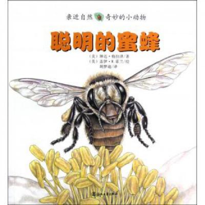 正版新书]聪明的蜜蜂/亲近自然奇妙的小动物(美)琳达·格拉泽|译