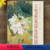 [正版]工笔荷花设色技法 美术基础教学系列丛书 主编 刘德伟 沙力 天津杨柳青画社 荷花工笔花卉画国画技法 书籍