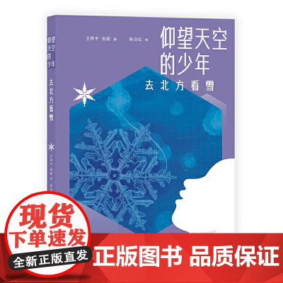 仰望天空的少年:去北方看雪