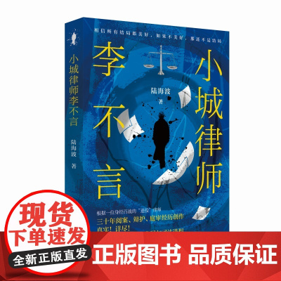 小城律师李不言 中国县城律师30年实录式小说 见证一个小城精英律师成长史,管窥巨大变迁下的时代风潮、社会变迁