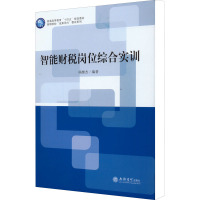 智能财税岗位综合实训(普通高等教育十四五规划教材)/高职院校成果导向教改系列
