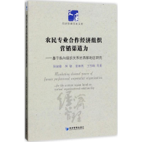 音像农民专业合作经济组织营销渠道力侯淑霞 著