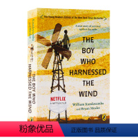 [正版]驭风少年The Boy Who Harnessed the Wind 英文原版小说 美国前副总统阿尔戈尔 相信