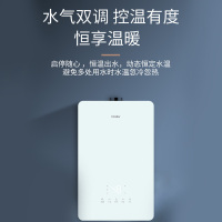 法迪欧燃气热水器JSQ30-16GS(12T)