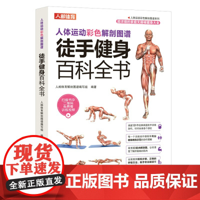 人体运动彩色解剖图谱徒手健身百科全书 人民邮电出版社