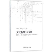 正版新书]文化构建与传播:媒介、形象建构与热点问题研究江新兴