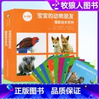 [正版]全12册宝宝的动物朋友-摄影绘本系列图书 东方娃娃婴儿版绘本故事幼儿书籍M2024年非过刊