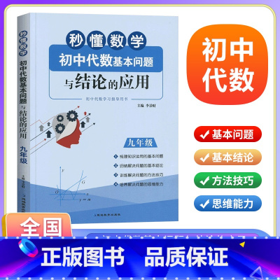 数学 九年级 [正版]秒懂数学初中代数基本问题与结论的应用九年级 9年级上下册数学新思维同步强化训练练习题 初三代数专项