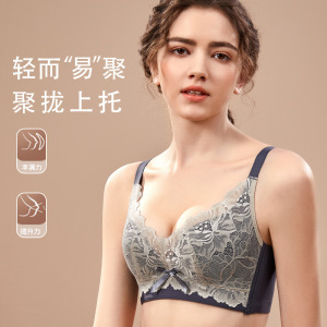 内衣女小胸聚拢无钢圈文胸蕾丝收副乳防下垂调整型舒适透气文胸罩_2