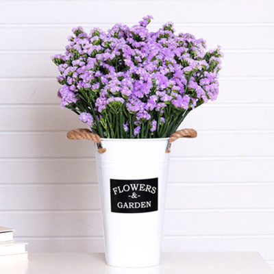 天然风干干花花束勿忘我真花装饰摆件客厅大束插花满天星浅紫勿忘我-易品