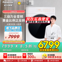 松下(Panasonic)[吴磊同款]白月光Queen女王款 10kg变频热泵烘干机 家用干衣机 全变频NH-X1FR6