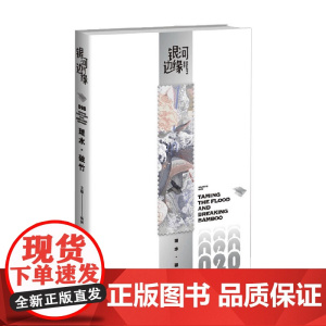 银河边缘20 理水 破竹 杨枫 编著 小说