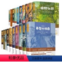 全套20册 [正版]名师导读 世界文学名著:绿野仙踪 鲁滨逊漂流记 爱丽丝漫游奇境海底两万里 地心游记八十天环游地球木偶