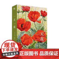 一天一花 米兰达·亚纳特卡 著 科普读物