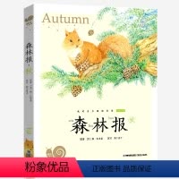 森林报秋 [正版]兔子坡注音版蜗牛小书坊有声读物一年级二年级三年级人教课外必读书籍儿童小学生阅读图书图画绘本破故事绘会汇