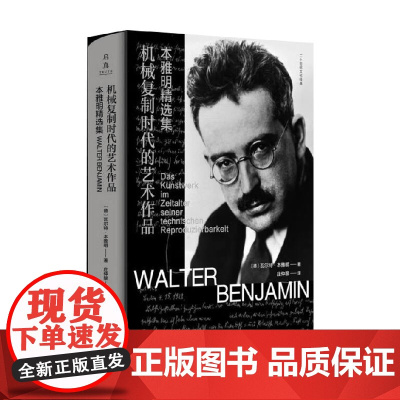机械复制时代的艺术作品 本雅明精选集 瓦尔特·本雅明 著 艺术史