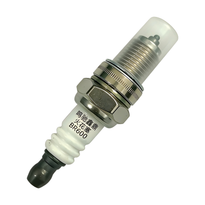 鸣驰鑫鼎 火花塞 BR600 个