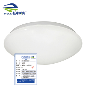 铂锜澳LED圆形吸顶灯 个