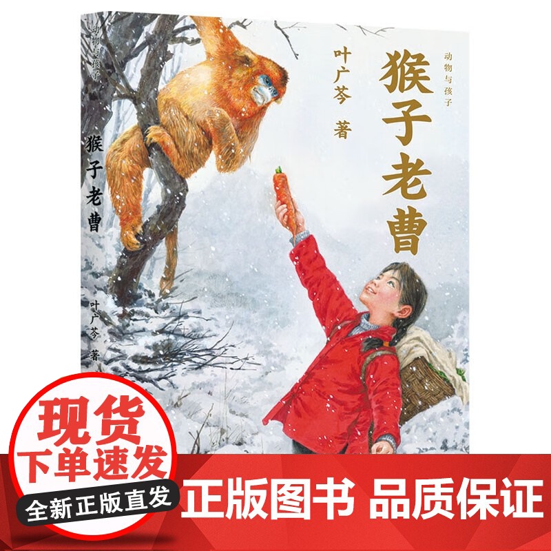 猴子老曹 2023中国好书 叶广芩新作品动物与人系列 二三四五年级小学生课外故事书籍儿童文学小说 叶广岑 北京少年儿童出