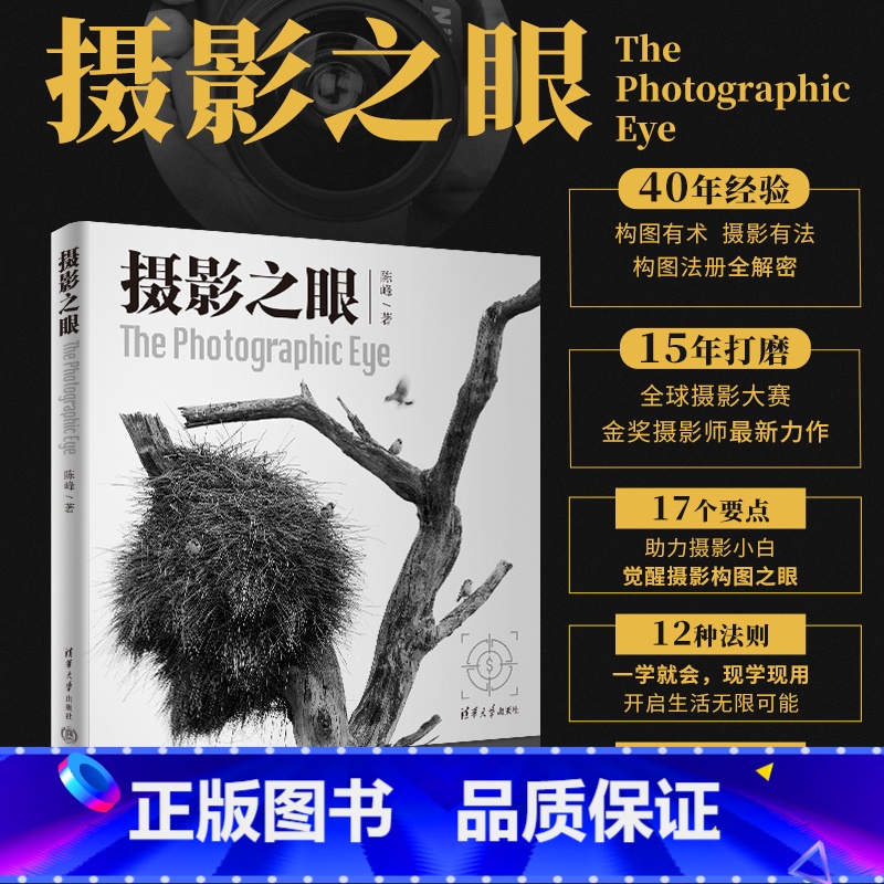 摄影之眼 [正版]摄影之眼 全彩印刷 40年经验 构图有术 摄影有法 构图法册解密 全球摄影大赛金奖摄影师新作 清华大学