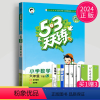 [正版]2024新版53天天练六年级下册数学六下苏教版SJ江苏小学6年级下课堂同步训练5.3五三天天练思维训练口算大通