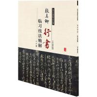 历代名家碑帖临习技法精解:颜真卿行书临习技法精解