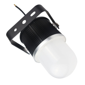 鼎晟丰(DSF) DSFG-920A 50W IP66 5500K LED环照灯 (计价单位:个) 黑色