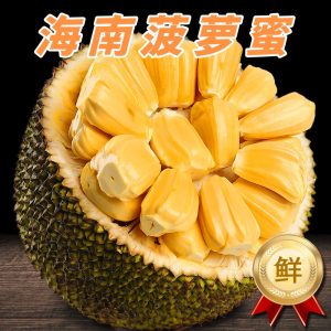 [西沛生鲜]海南黄肉菠萝蜜 新鲜水果 香甜可口 1个 净重13-17斤装 西沛水果