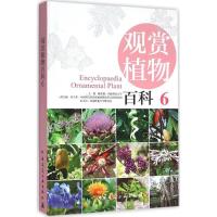 观赏植物百科 6