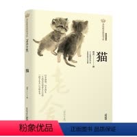 猫 [正版]猫美冠纯美阅读书系老舍专集经典彩绘本儿童文学散文读物经典名家名著必书目青少年小学生一二三年级课外故事书阅读畅