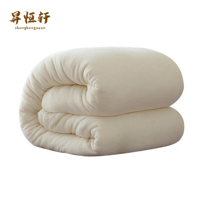 昇恒轩 棉被 180*200cm 张