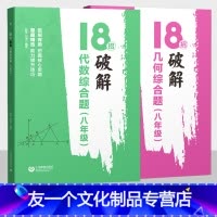 几何综合题+代数综合题 八年级/初中二年级 [友一个正版]18招破解几何综合题代数综合题 八年级 全国通用 初中初二数学