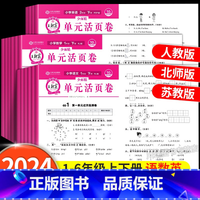 [单元卷/人教版]语文+数学(全2册) 一年级上 [正版]试卷单元活页卷一年级二三四五六年级上册下册语文数学英语同步试卷
