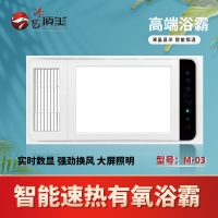 添艺顶美 智能电器 浴霸(M-03)安全速热 强劲双核取暖浴霸卫生间 多功能浴室暖风SENSHIMD