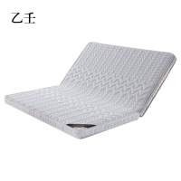 乙壬椰棕床垫家用棕垫B6cm厚折叠(防螨针织+0胶水天然椰棕)1200mm*2000mm