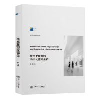 音像城市更新实践与文化空间生产/城市文化传播研究丛书张雯