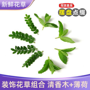 蛋糕摆盘装饰叶子烘焙甜品摆件 清香木+薄荷芽各50片 起订量2份