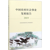 音像中国农村社会事业发展报告 2019农村农村社会事业促进司