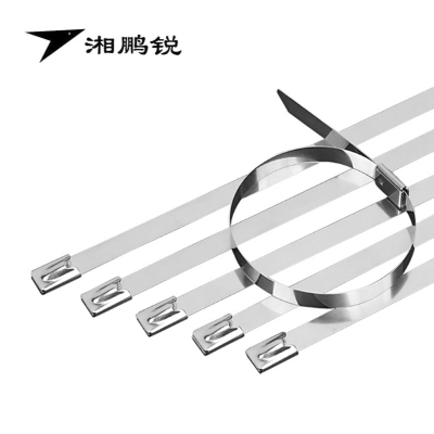 湘鹏锐 防护栅栏扎带(304不锈钢) 12*300mm 条