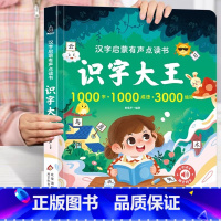 点读发声书--识字大王 [正版]手指点读发声书 我爱唱儿歌大书儿童有声书籍小学生课外读物 幼儿宝宝幼儿园