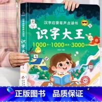 点读发声书--识字大王 [正版]手指点读发声书 我爱唱儿歌大书儿童有声书籍小学生课外读物 幼儿宝宝幼儿园