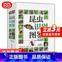 [正版] 昆虫识别图鉴 书籍