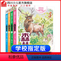 [正版]森林报春夏秋冬全四册 彩绘注音版苏联维.比安基著自然科普故事绘本书籍全套小学生一二三 4 五 年级带拼音的课外